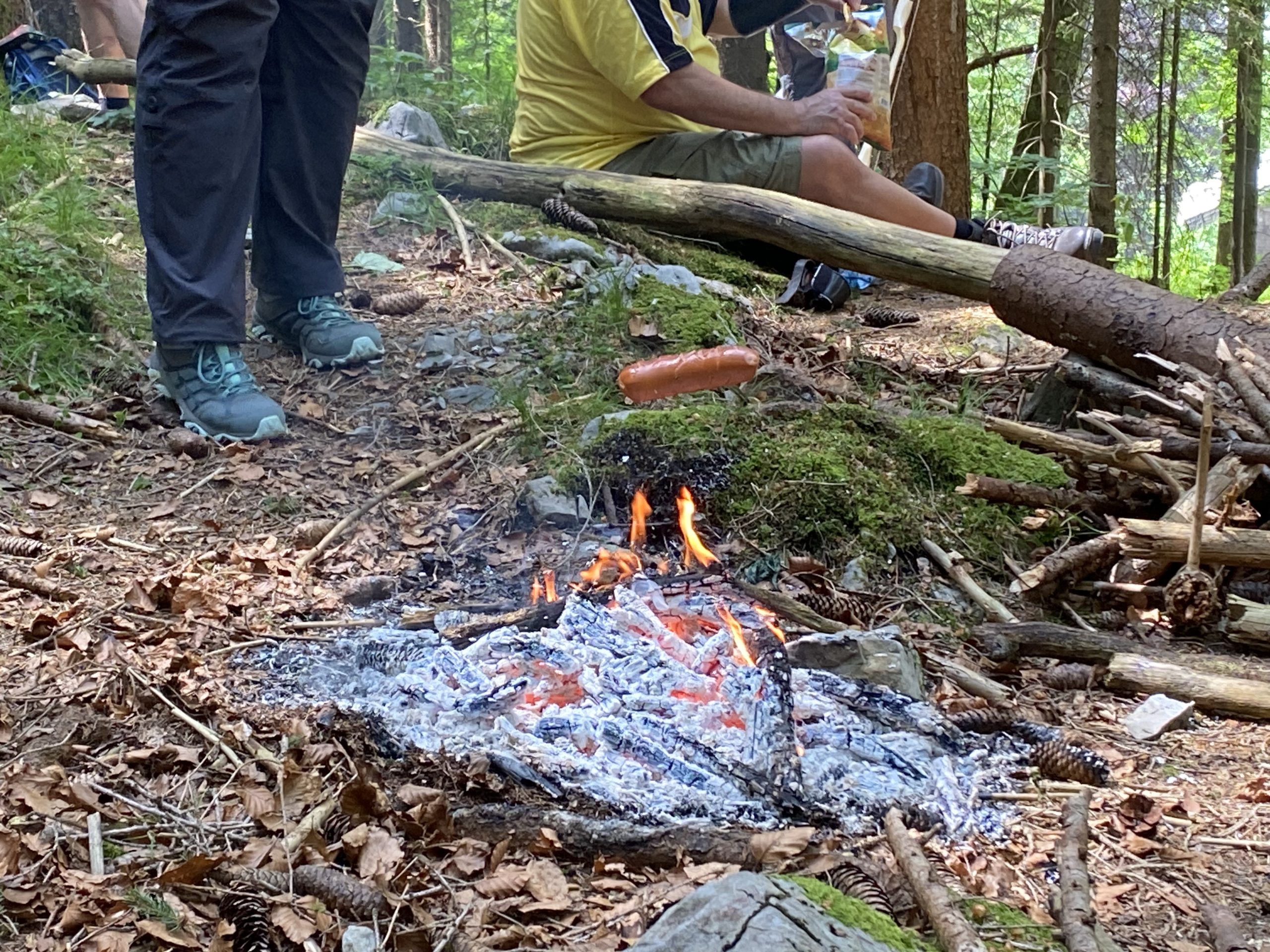 3D-Wochenende im Schwarzwald
