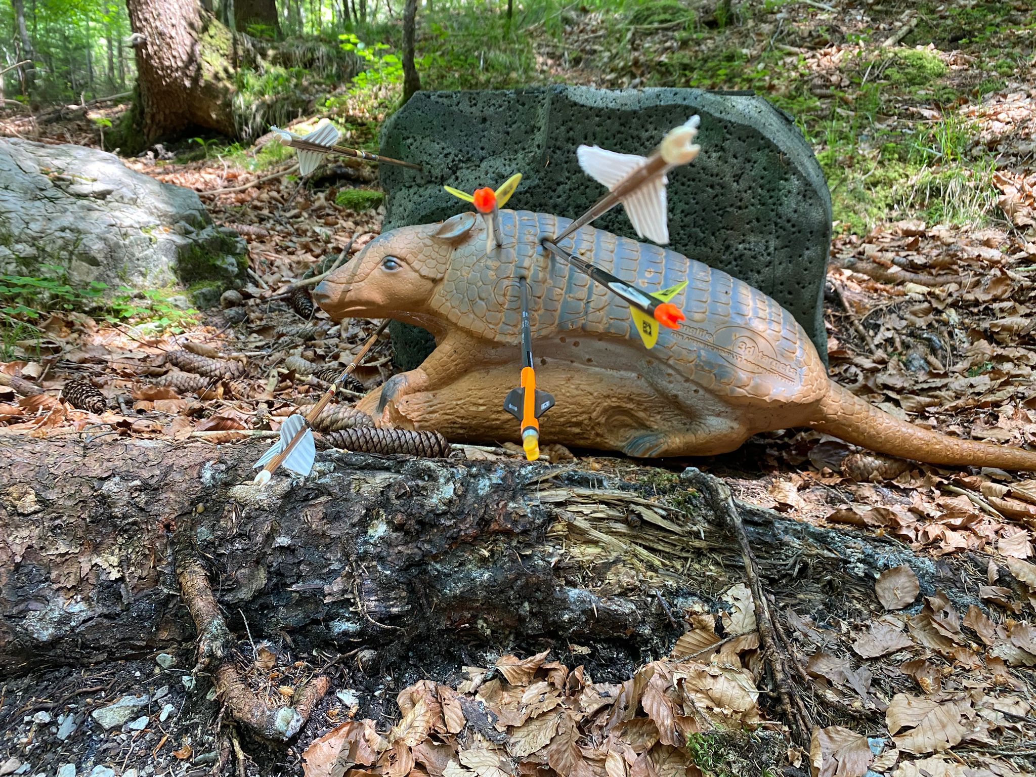 3D-Wochenende im Brandnertal