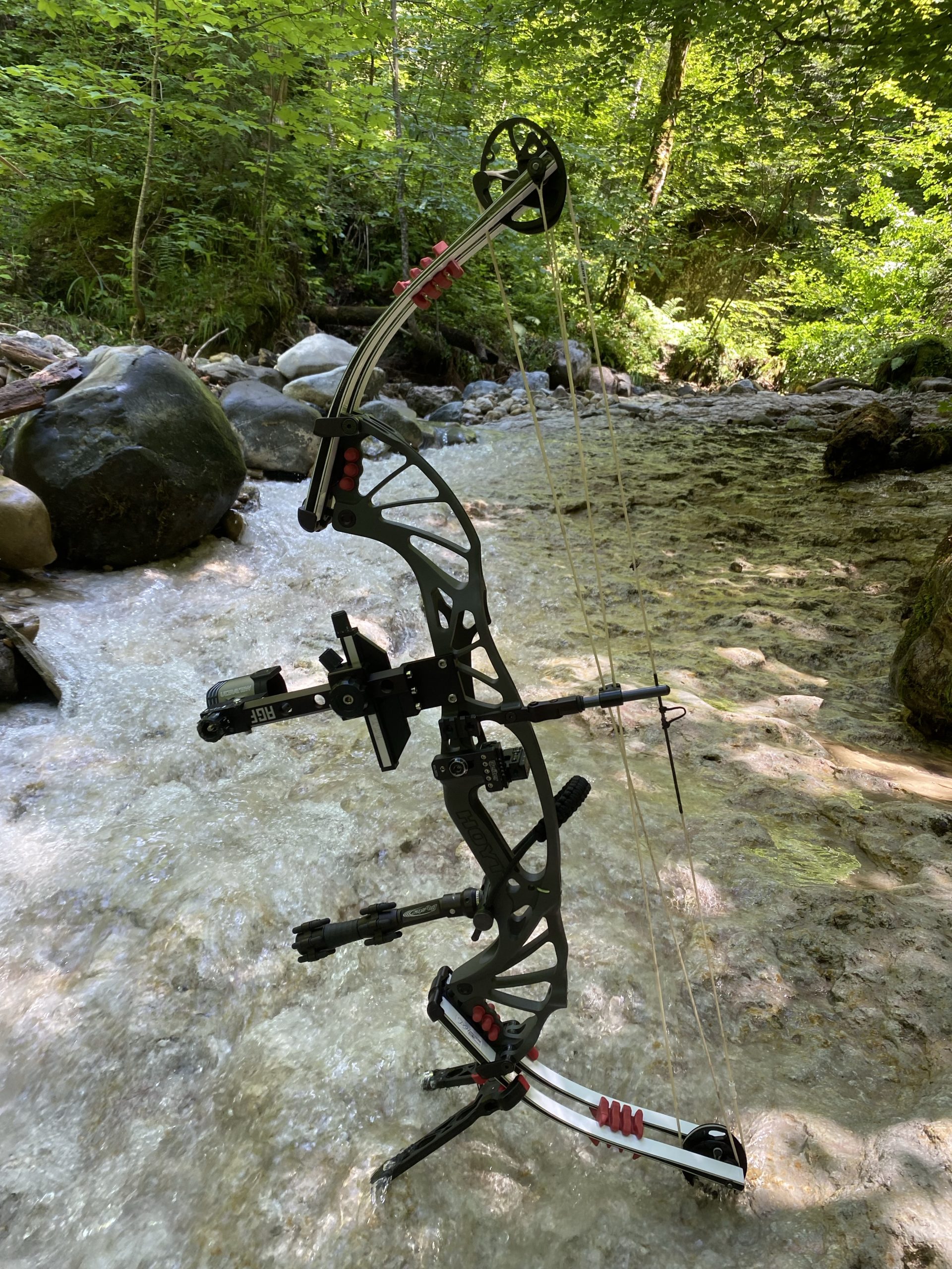 Mitgliedschaften in den Verbänden und Lizenzen 2025